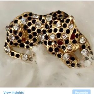 A beautiful leopard 🐆 brooch. You dress it up!